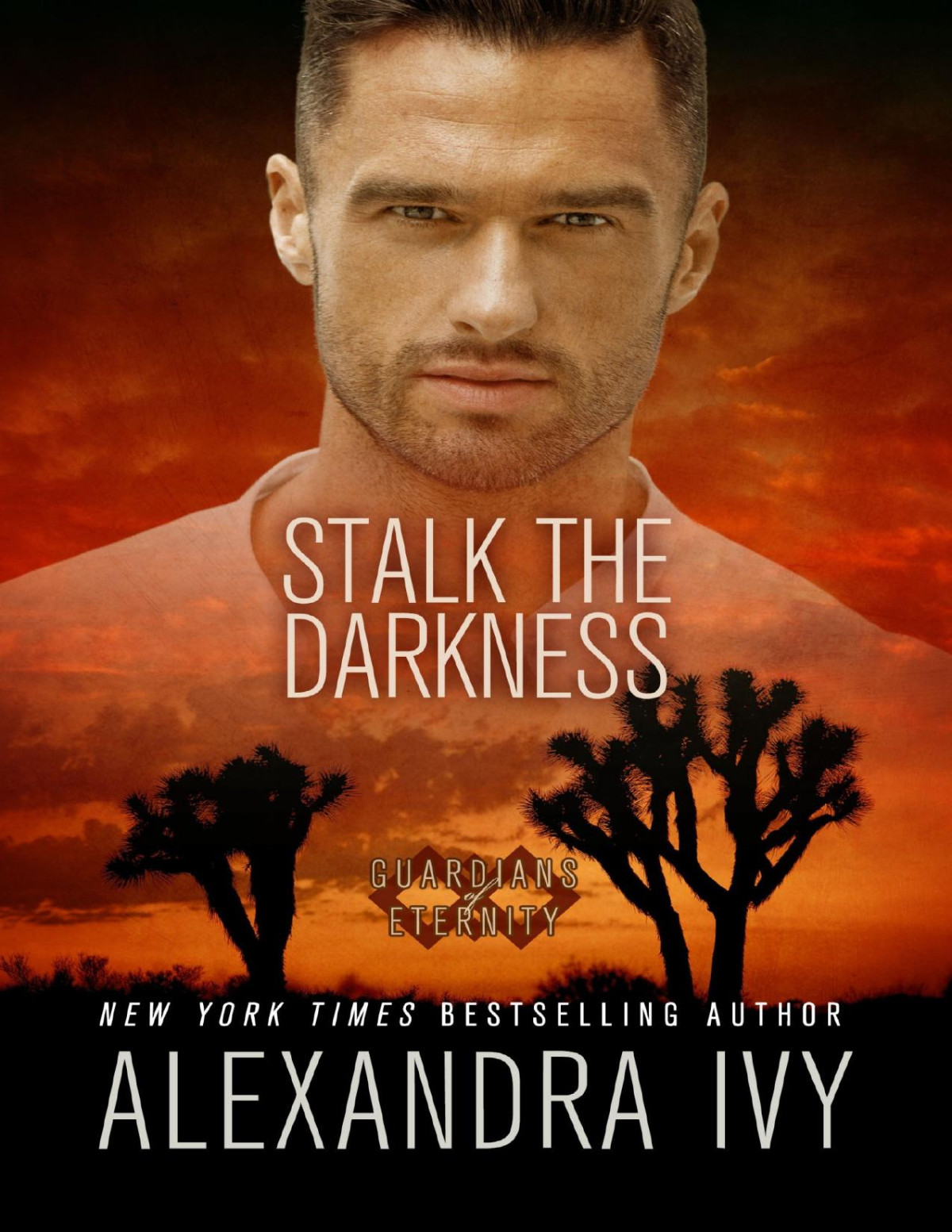 Stalk The Darkness Alexandra Ivy