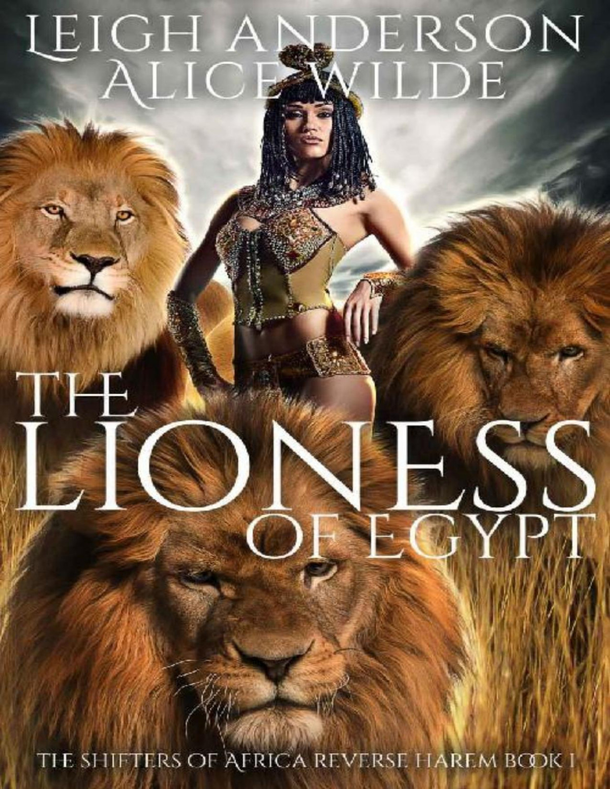 The Lioness Of Egypt Leigh Anderson Alice Wilde