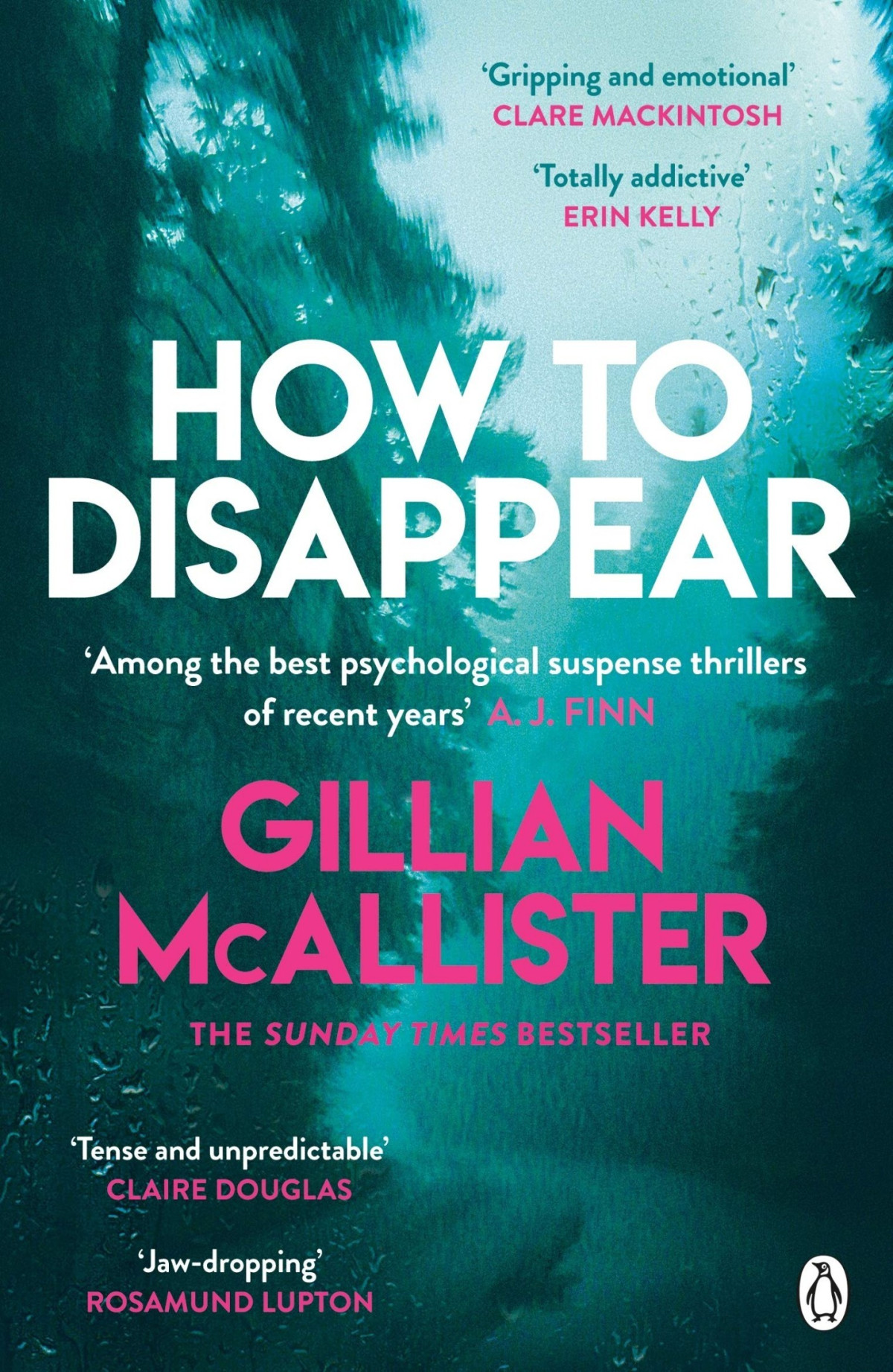 How To Disappear Gillian Mcallister