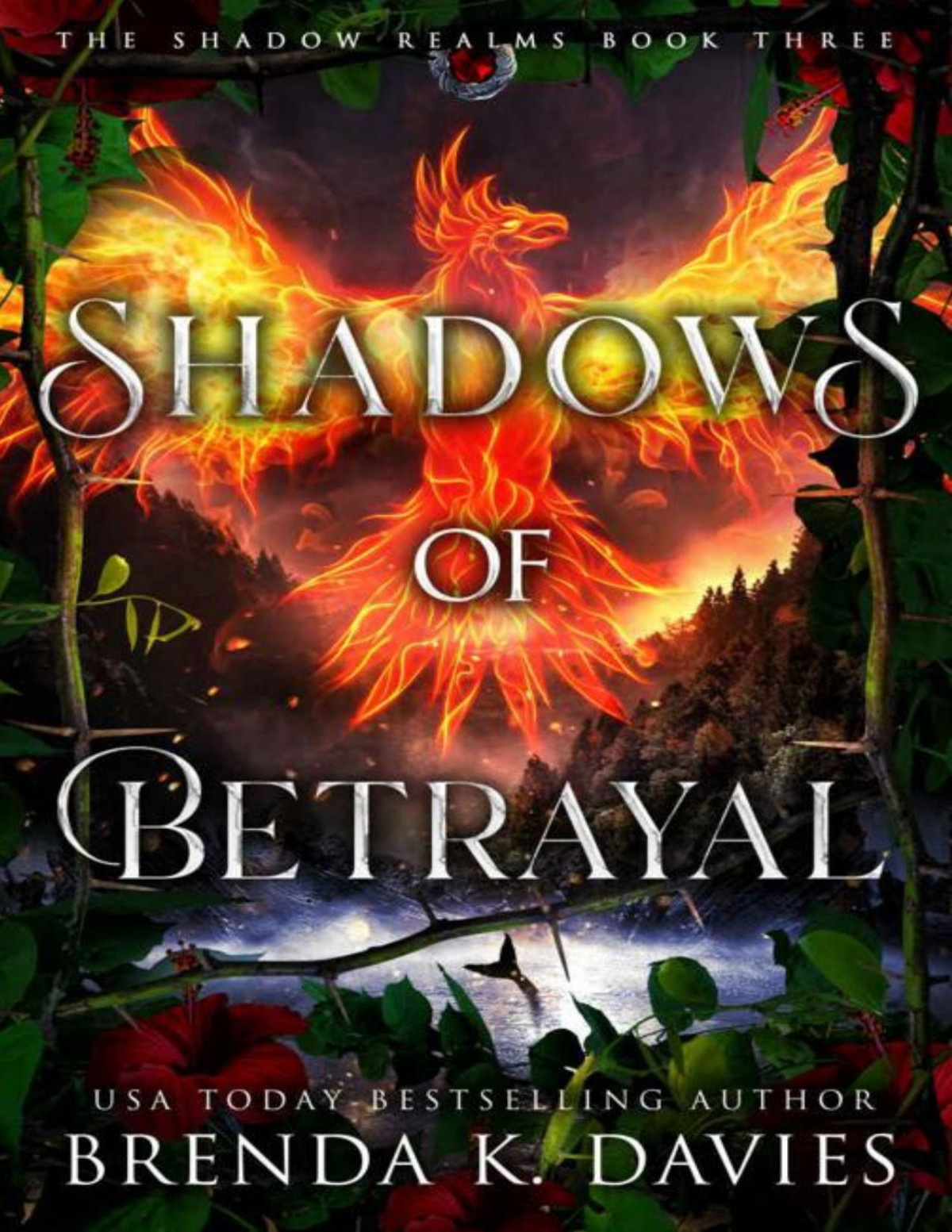 Shadows Of Betrayal The Shadow Realms Book 3 Brenda K Davies