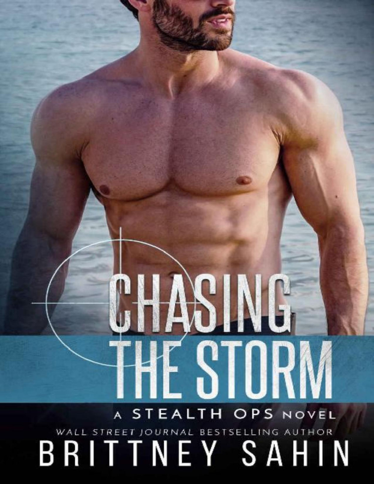 Chasing The Storm Stealth Ops Book 10 Brittney Sahin