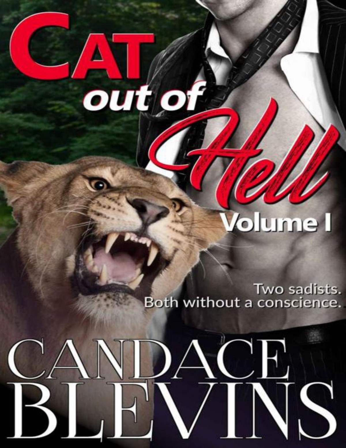 Cat Out Of Hell Volume I Out Of The Fire Book 4 Candace Blevins