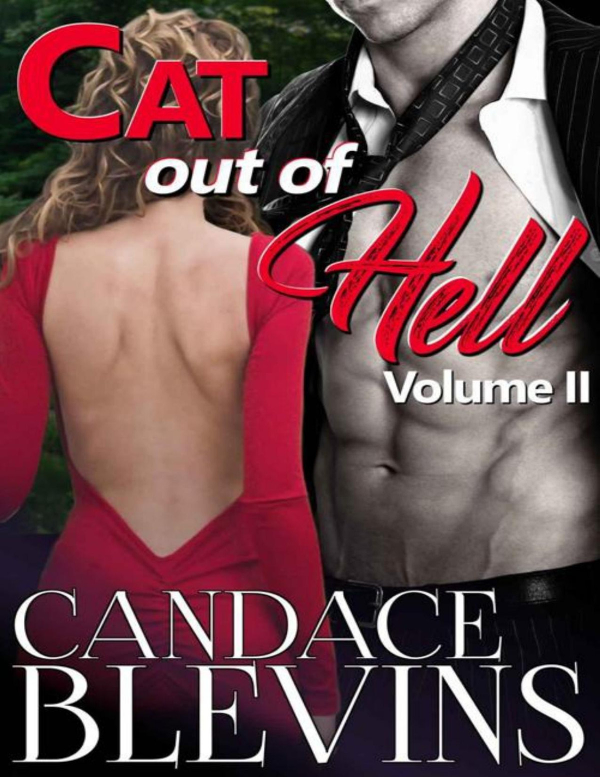 Cat Out Of Hell Volume Ii Out Of The Fire Book 5 Candace Blevins