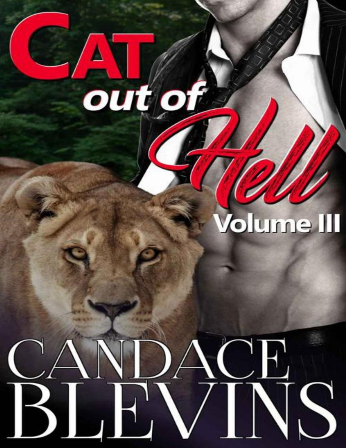 Cat Out Of Hell Volume Iii Out Of The Fire Book 6 Candace Blevins