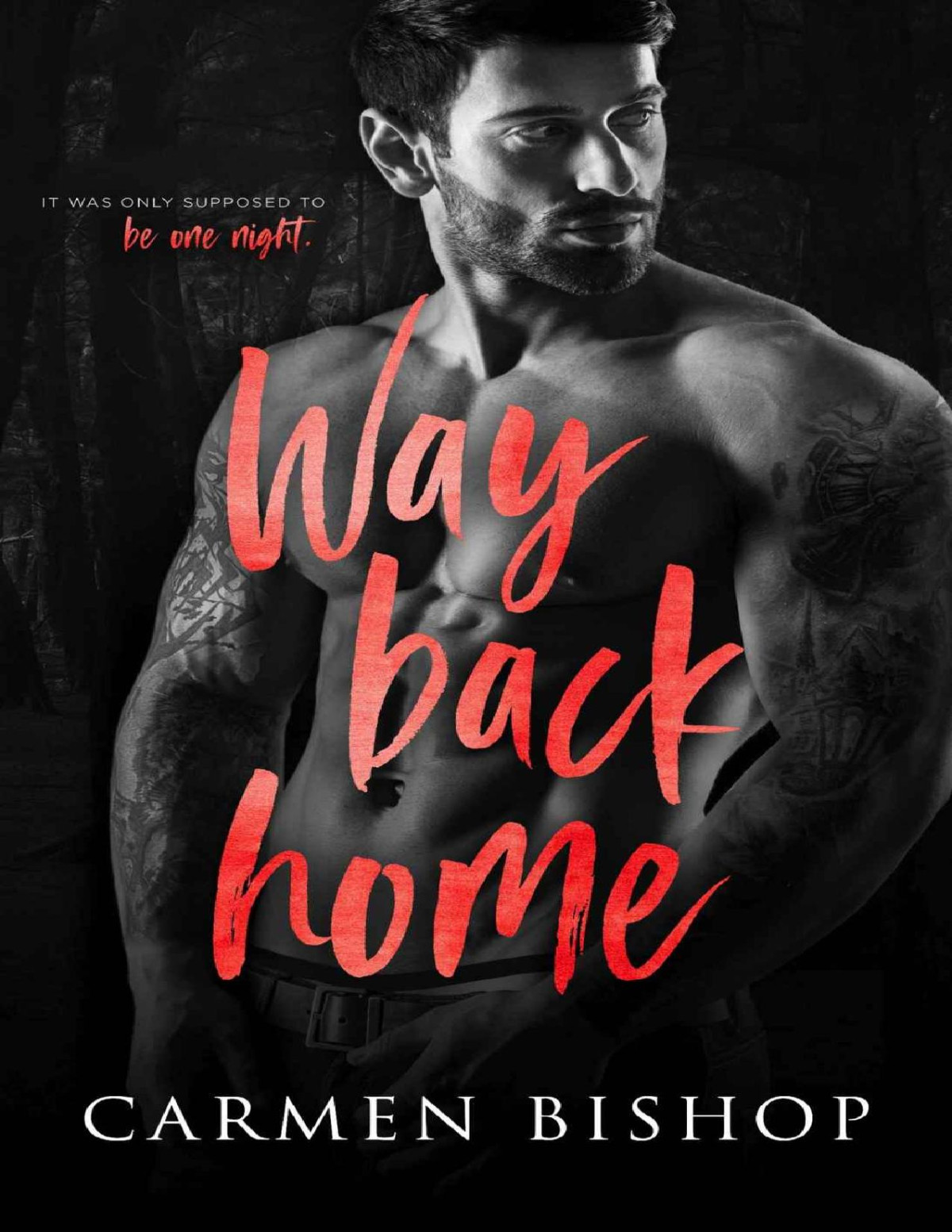 Way Back Home A Smalltown Secret Baby Romance Carmen Bishop