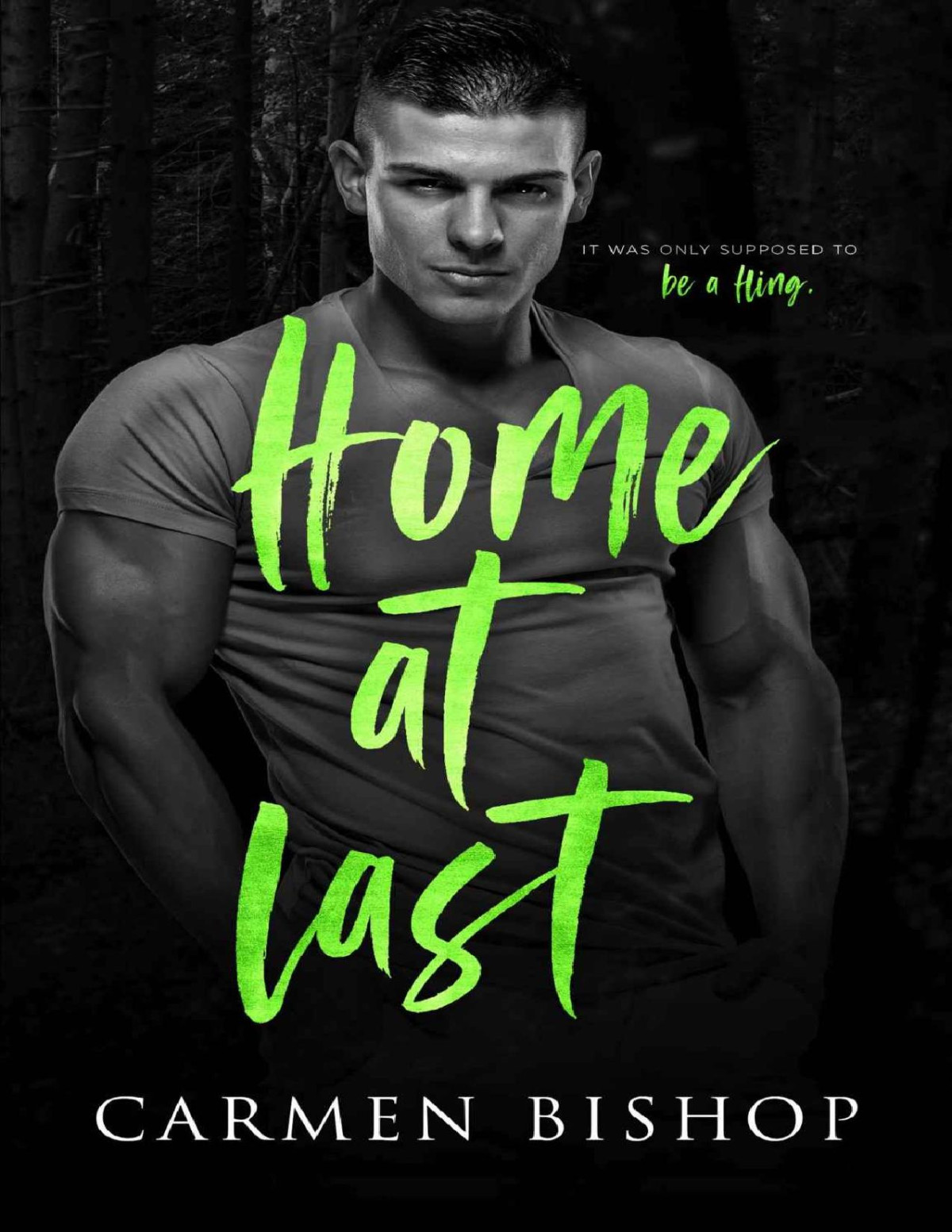 Home At Last A Smalltown Romantic Comedy Carmen Bishop