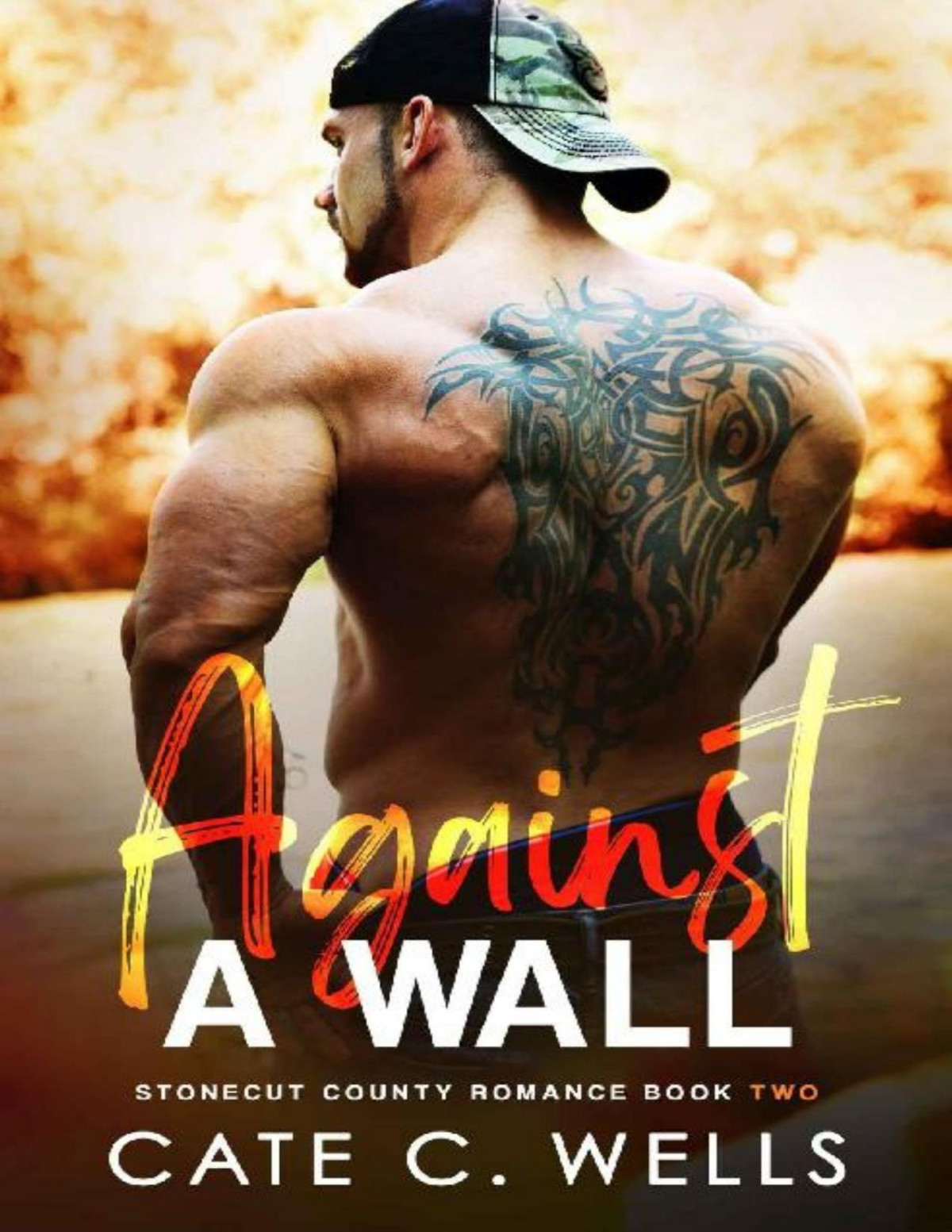 Against A Wall 1st Edition Cate C Wells