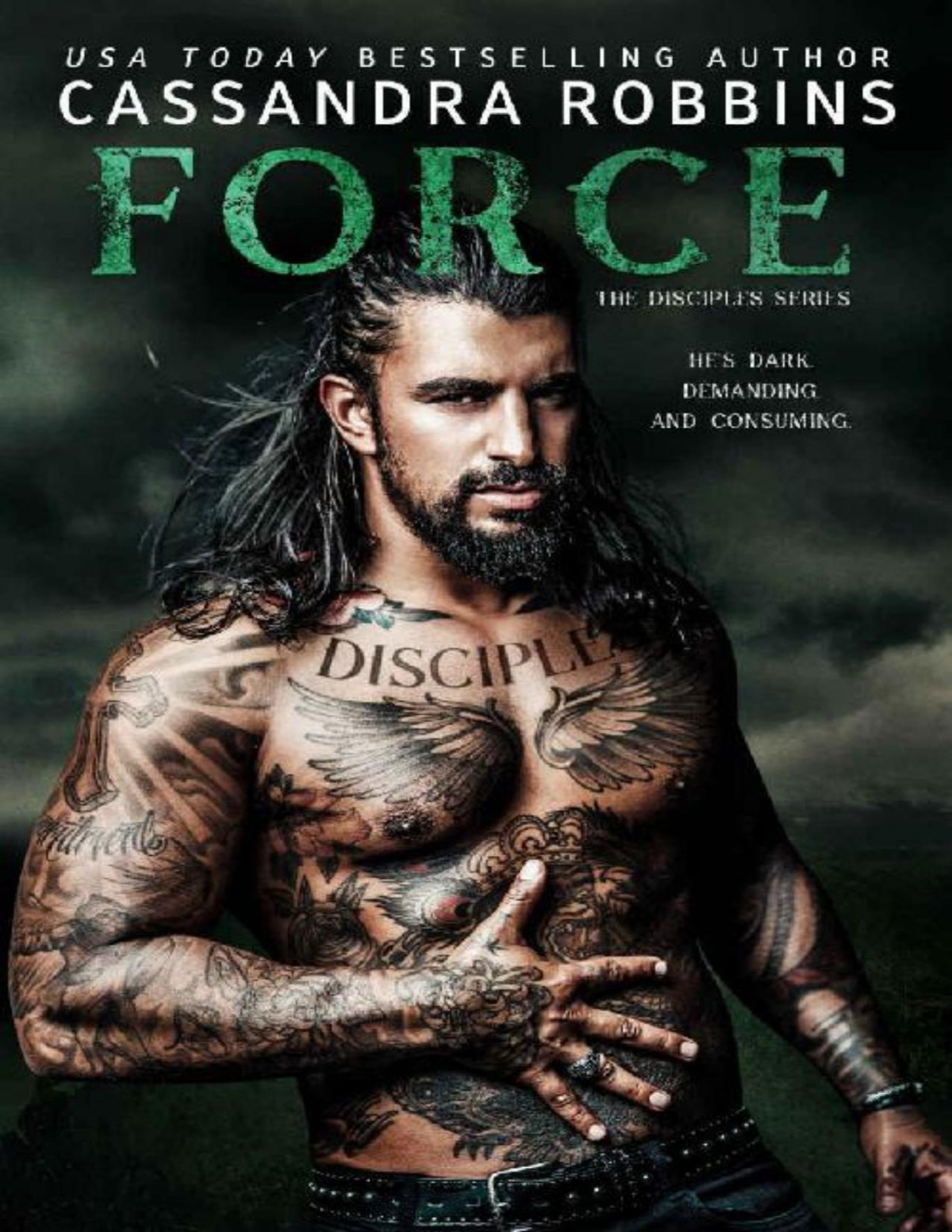 Force The Disciples Book 5 Cassandra Robbins