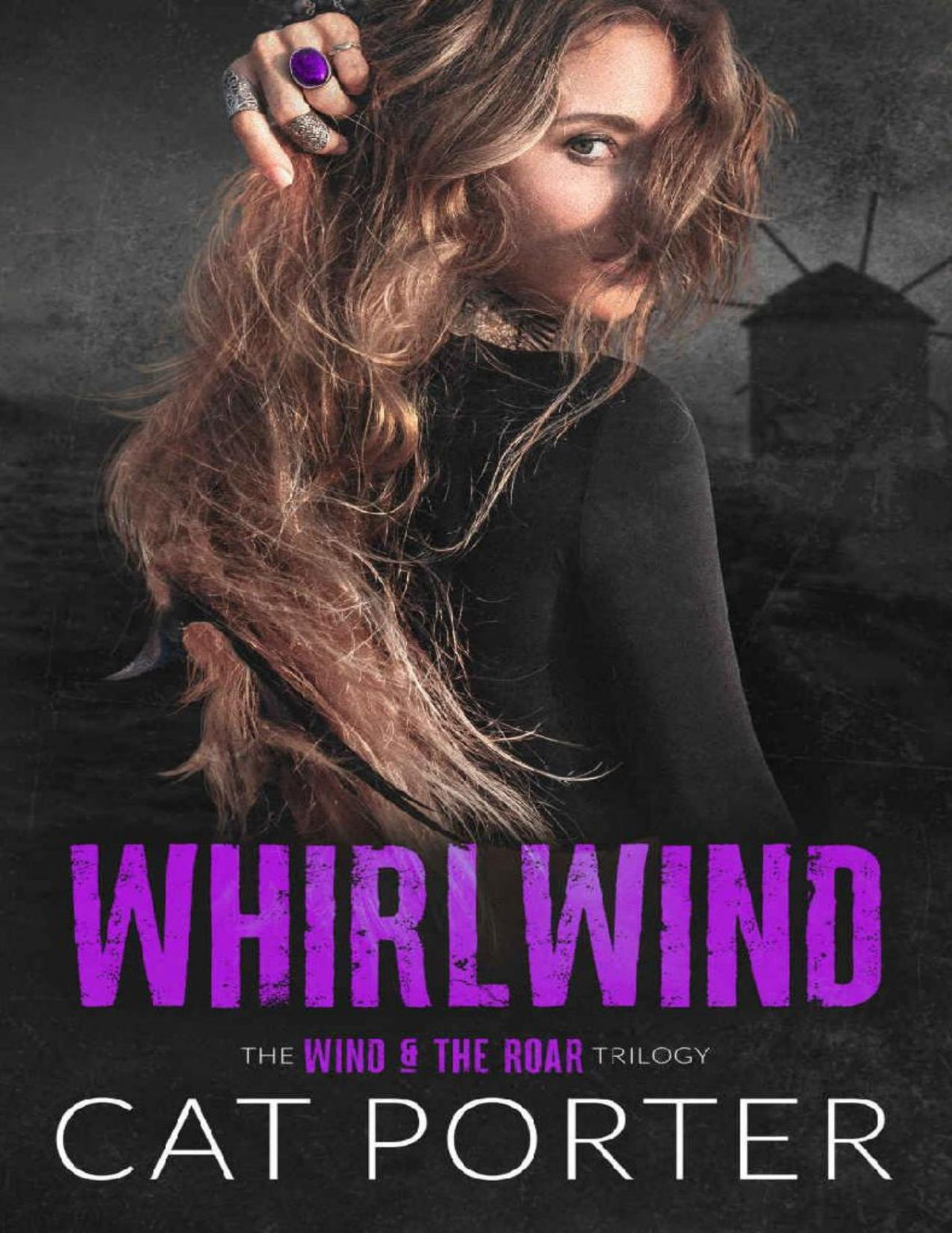 Whirlwind A Friendstolovers Rockstar Romance The Wind The Roar Trilogy Book 2 Cat Porter