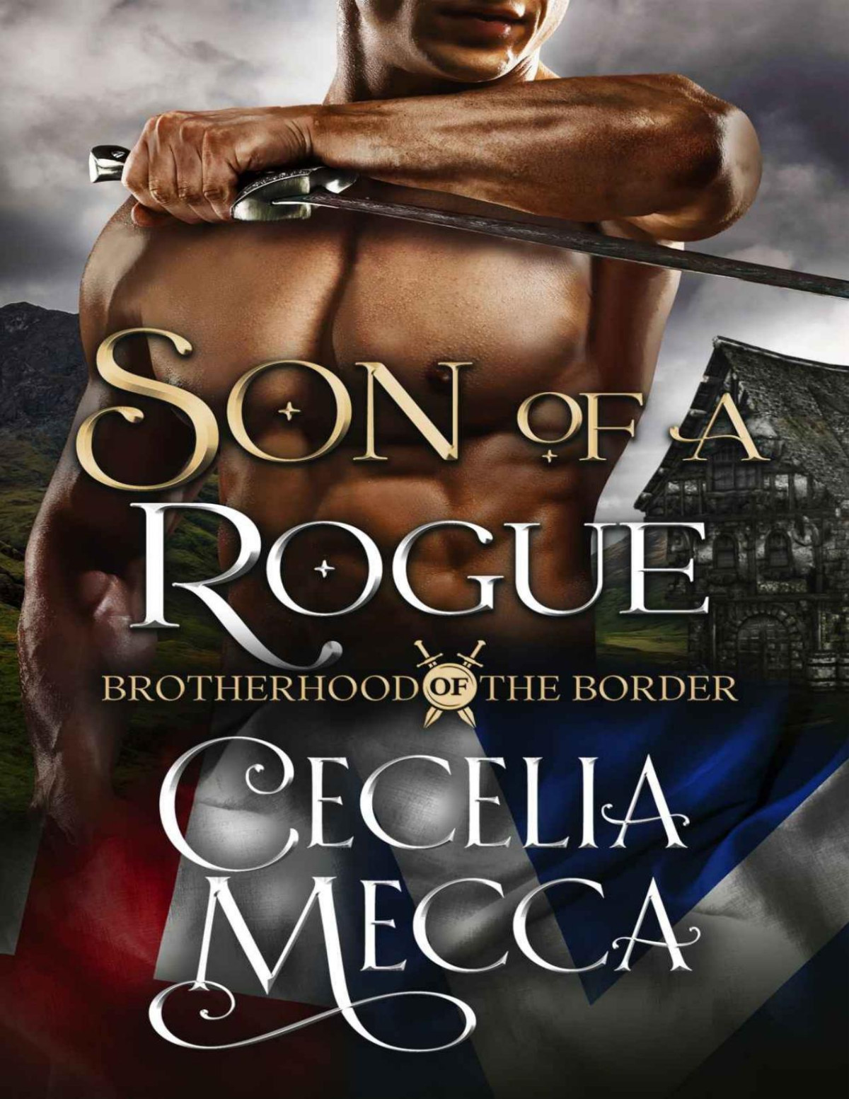 Son Of A Rogue Brotherhood Of The Border Book Three Mecca Cecelia