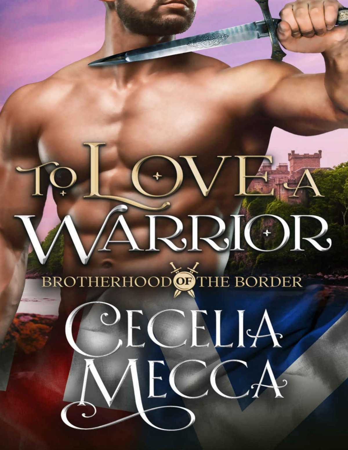 To Love A Warrior Brotherhood Of The Border Book Four Mecca