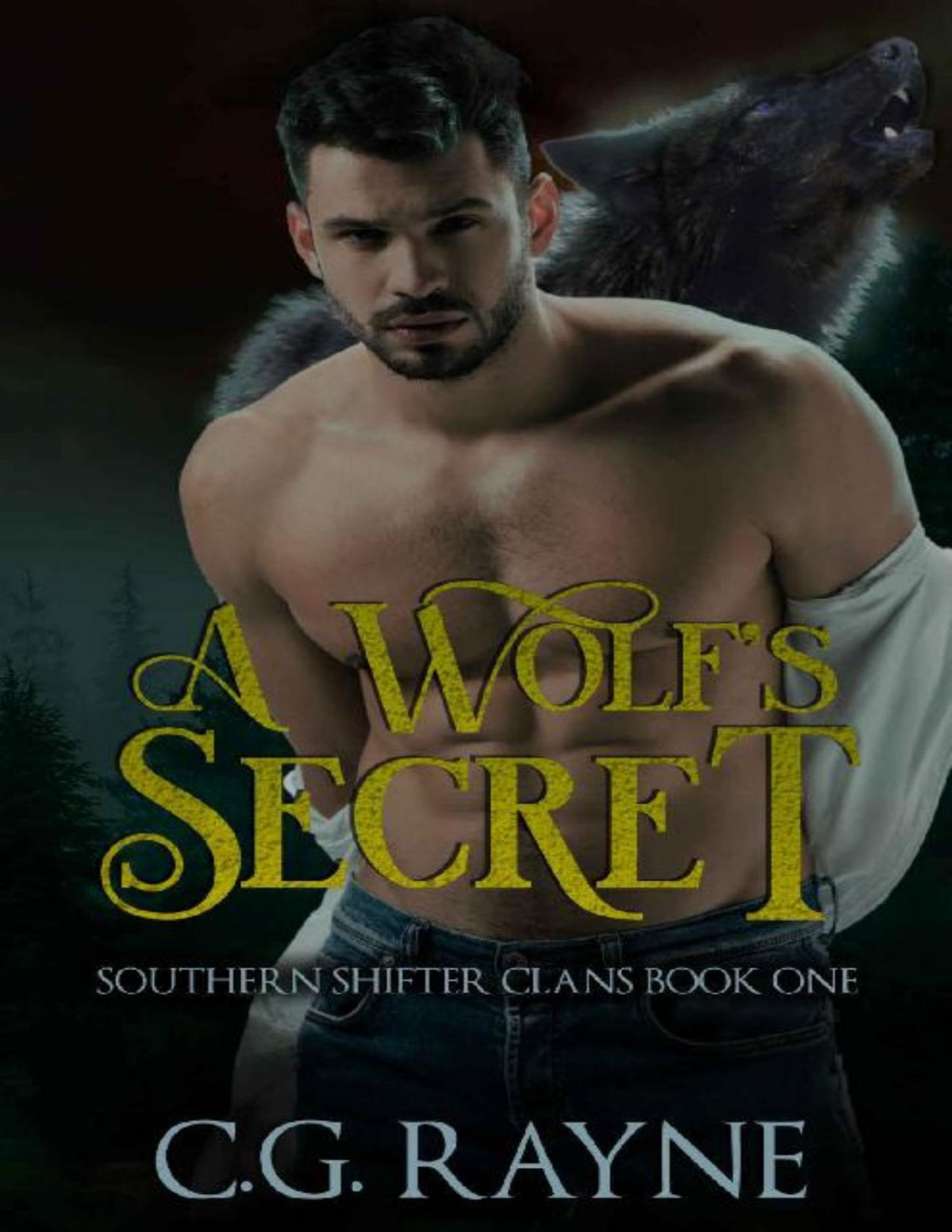A Wolfs Secret An Mm Paranormal Romance Cg Rayne