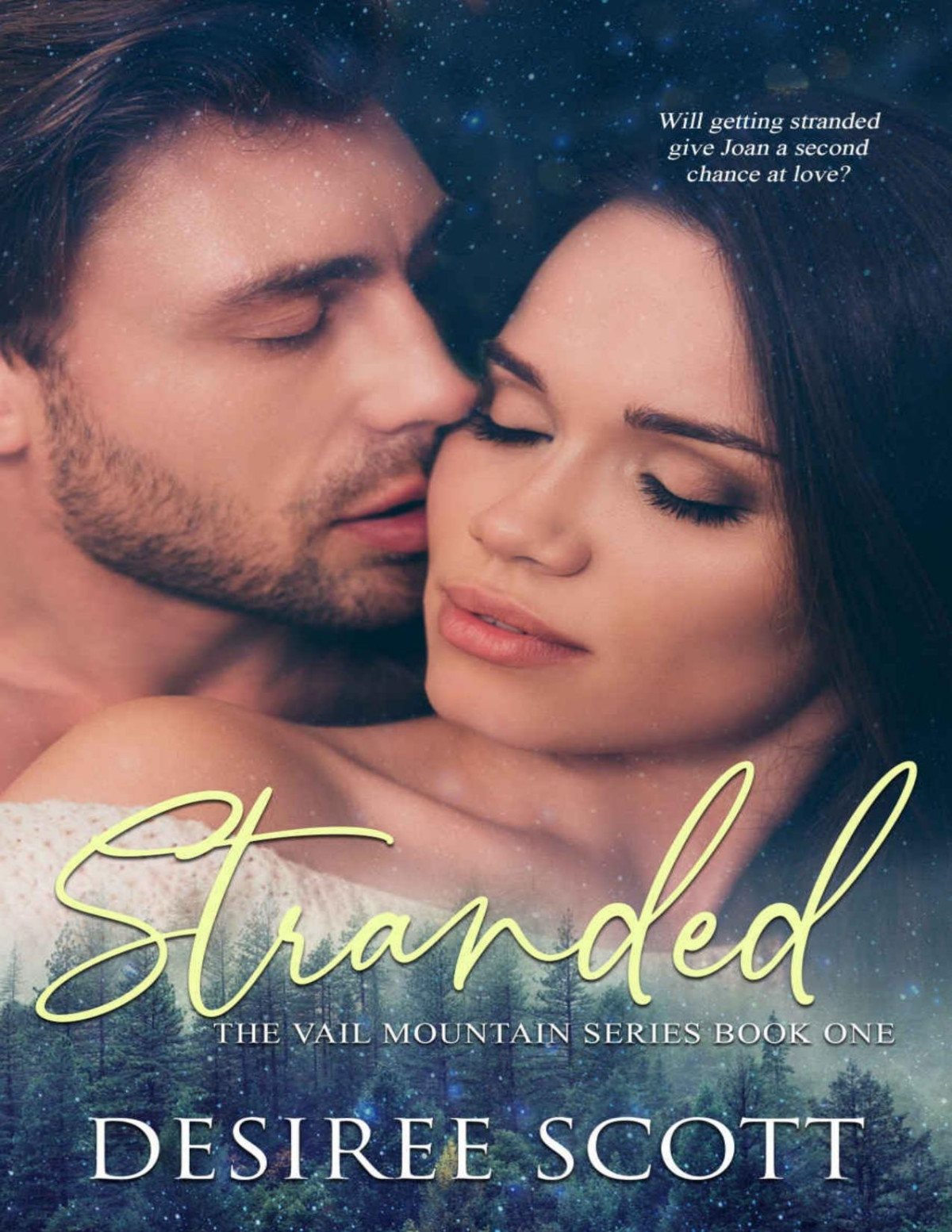 Stranded The Vail Mountain Series Book 1 Of 3 Desiree Scott
