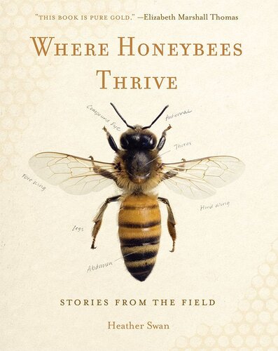 Where Honeybees Thrive Stories From The Field Animalibus Of Animals And Cultures Heather Swan