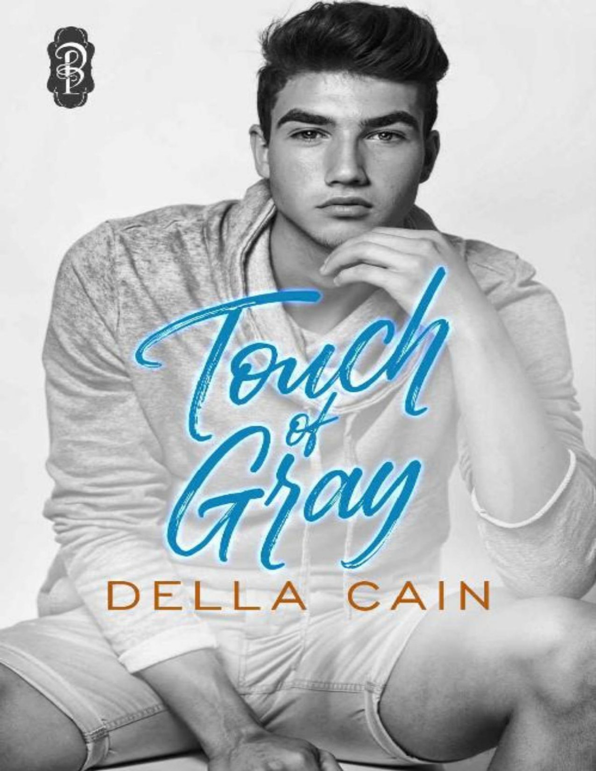 Touch Of Gray Country Daddy City Little Book 3 Della Cain