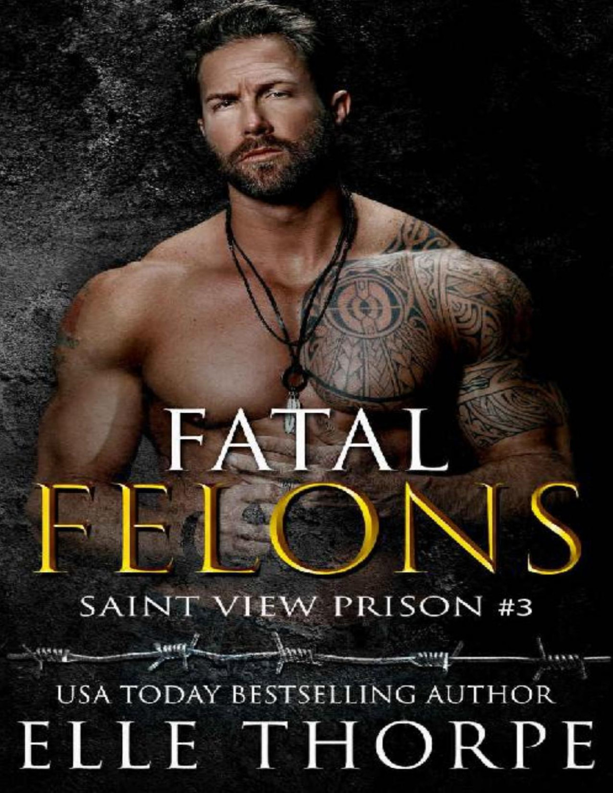 Fatal Felons Saint View Prison Book 3 Elle Thorpe