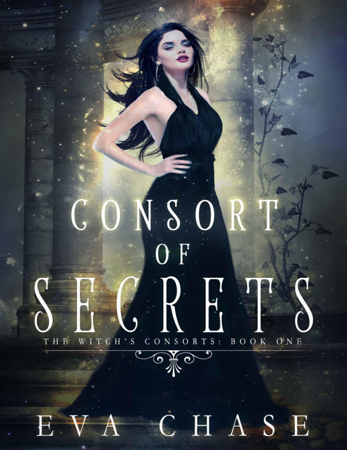 Consort Of Secrets The Witchs Consorts Book 1 Eva Chase
