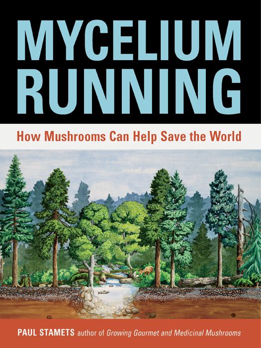 Mycelium Running How Mushrooms Can Help Save The World Paul Stamets