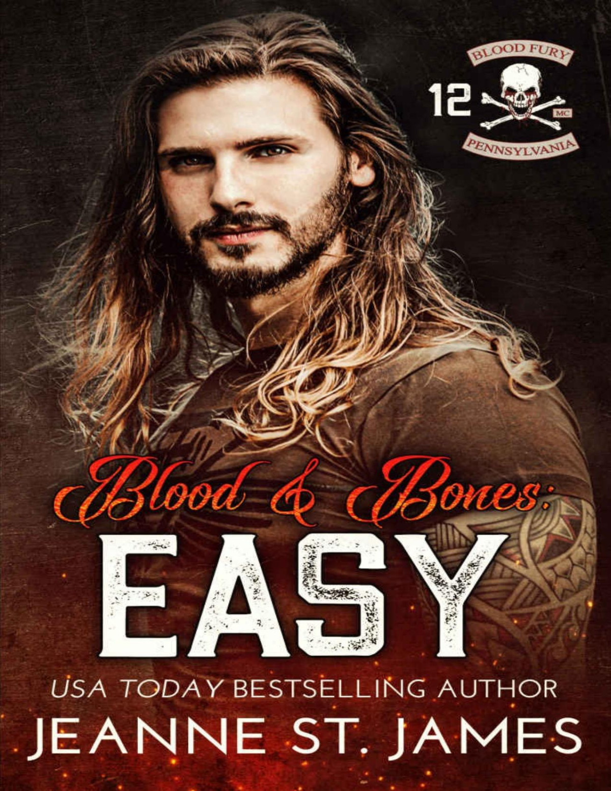Blood Bones Easy Blood Fury Mc Book 12 Jeanne St James