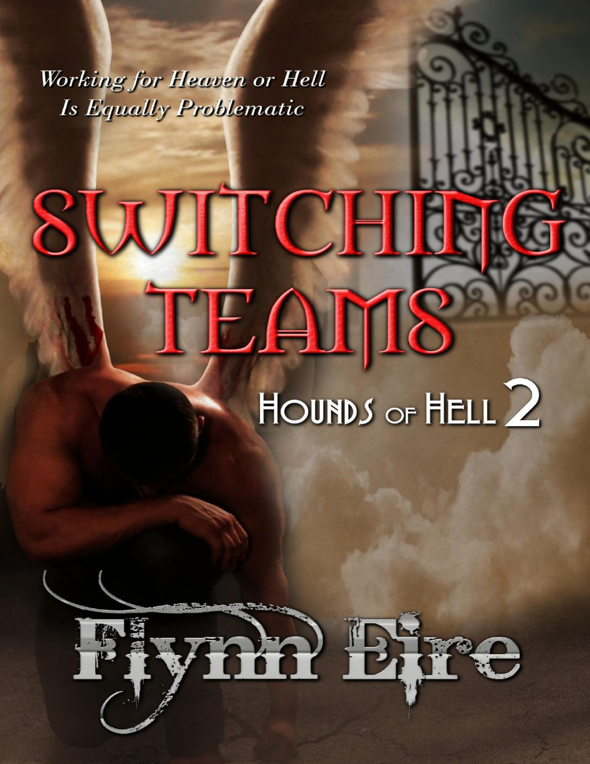 Switching Teams Flynn Eire