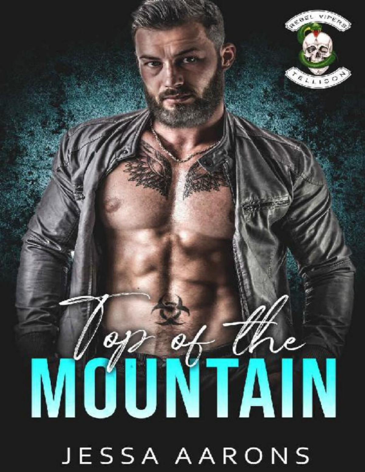 Top Of The Mountain Rebel Vipers Mc Book 5 Jessa Aarons