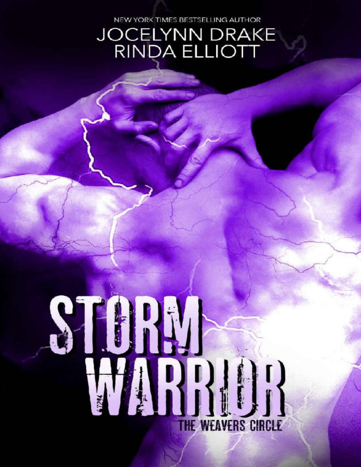 Storm Warrior The Weavers Circle Book 5 Jocelynn Drake Rinda Elliott