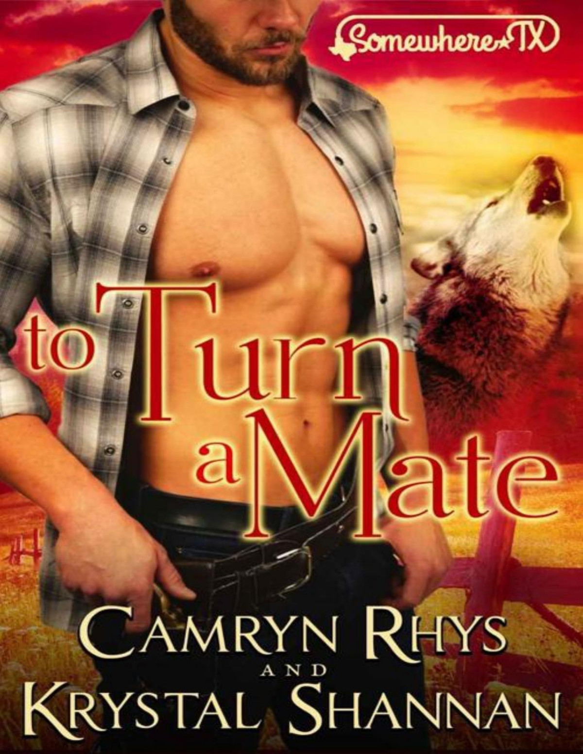 To Turn A Mate A Sexy Fated Mate Wolf Shifter Romance Vonbrandt Wolf Pack Book 5 Krystal Shannan Camryn Rhys