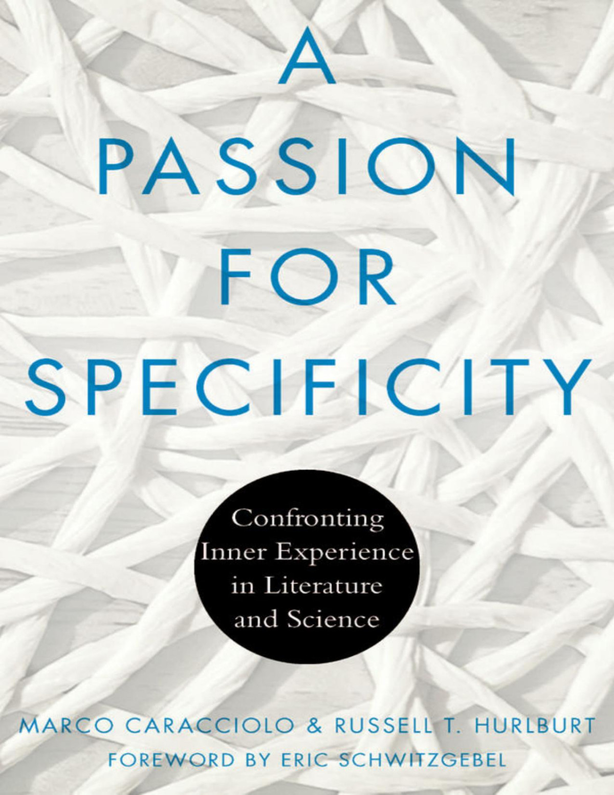 A Passion For Specificity Cognitive Approaches To Culture Marco Caracciolo