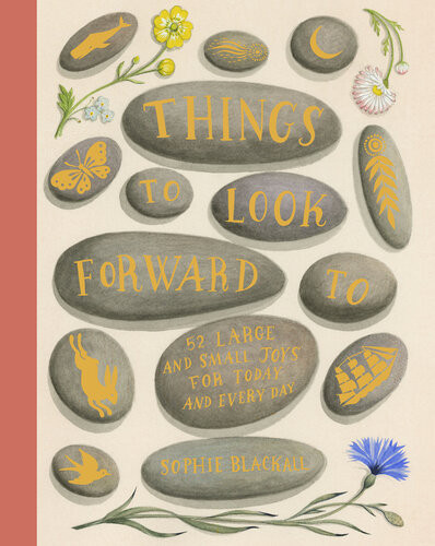 Things To Look Forward To 52 Large And Small Joys For Today And Every Day Sophie Blackall