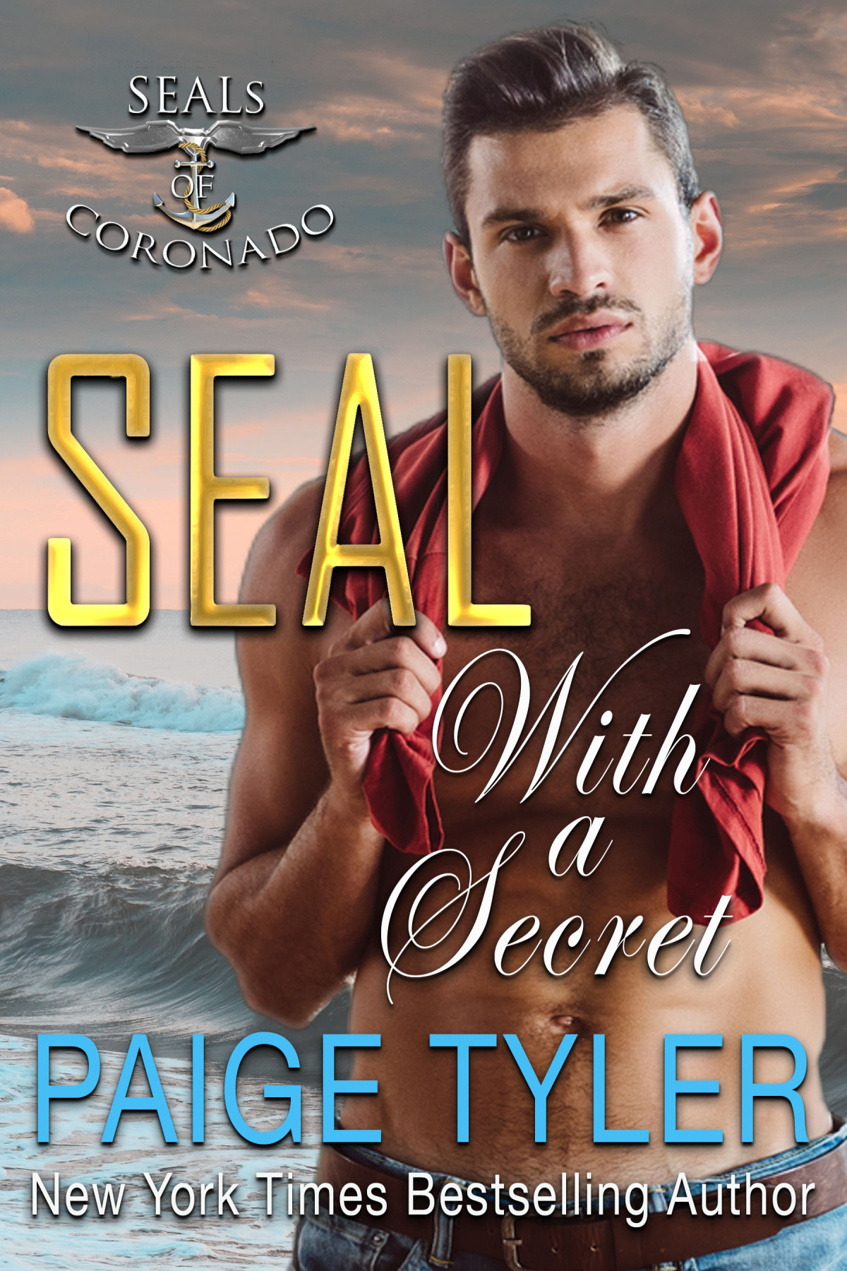 Seal With A Secret Paige Tyler