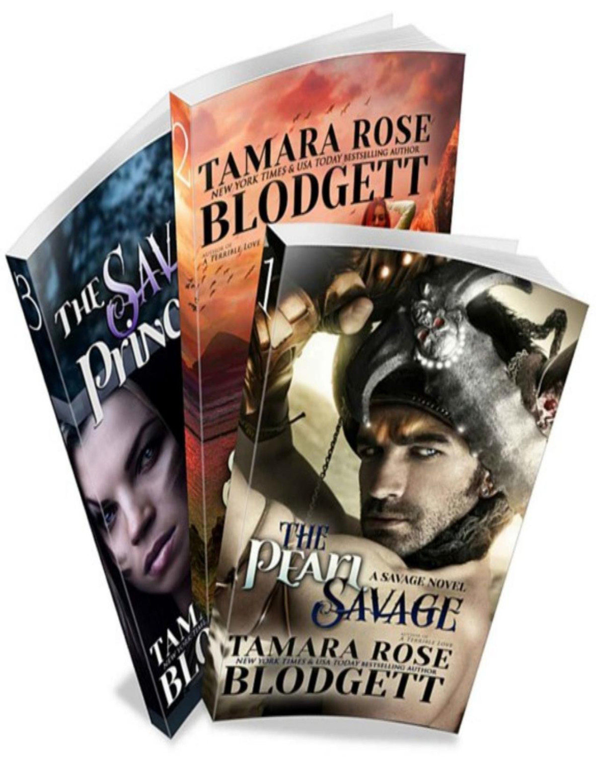 The Savage Series Alpha Warriors Of The Band Box Set Books 13 Tamara Rose Blodgett