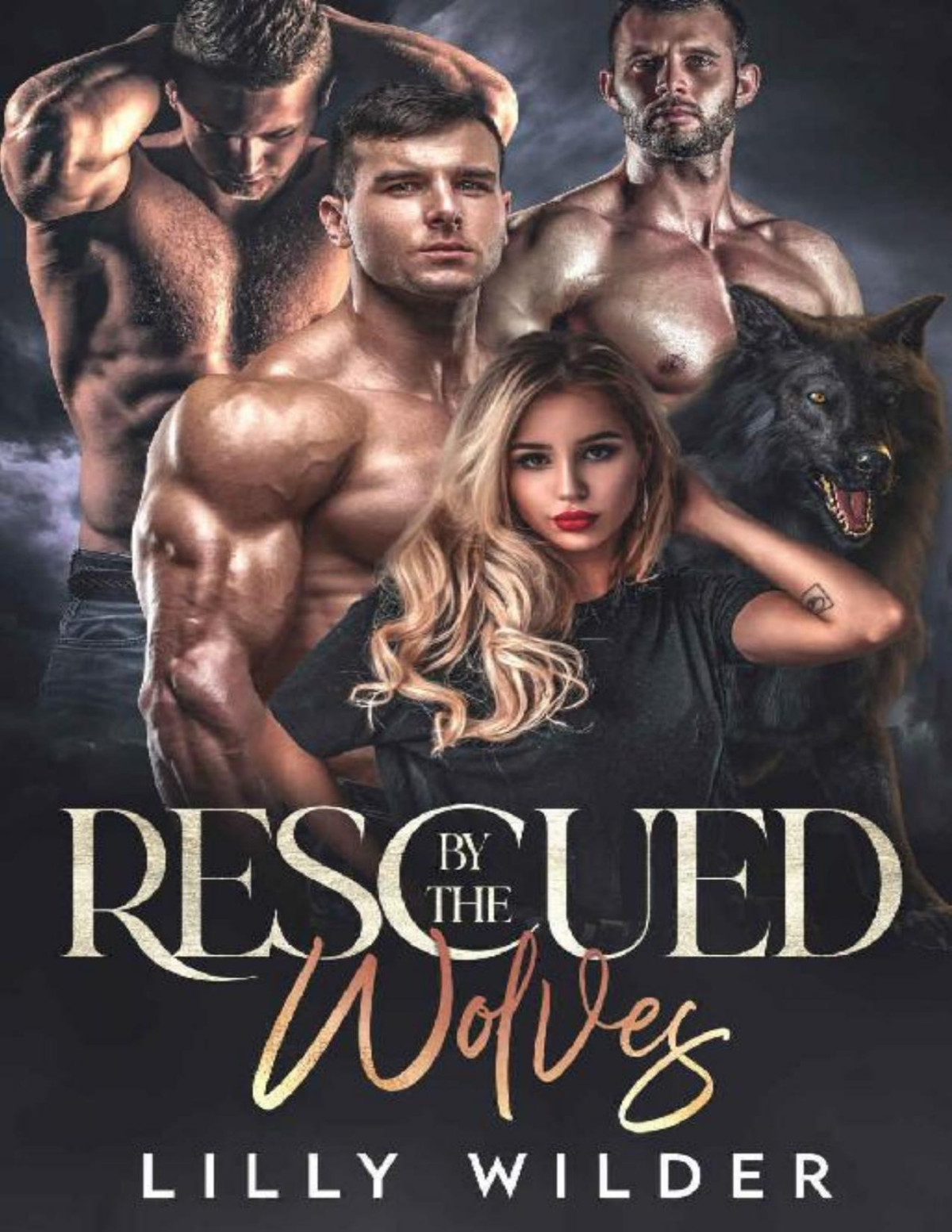 Rescued By The Wolves Rejected Mate Reverse Harem Romance Lilly Wilder