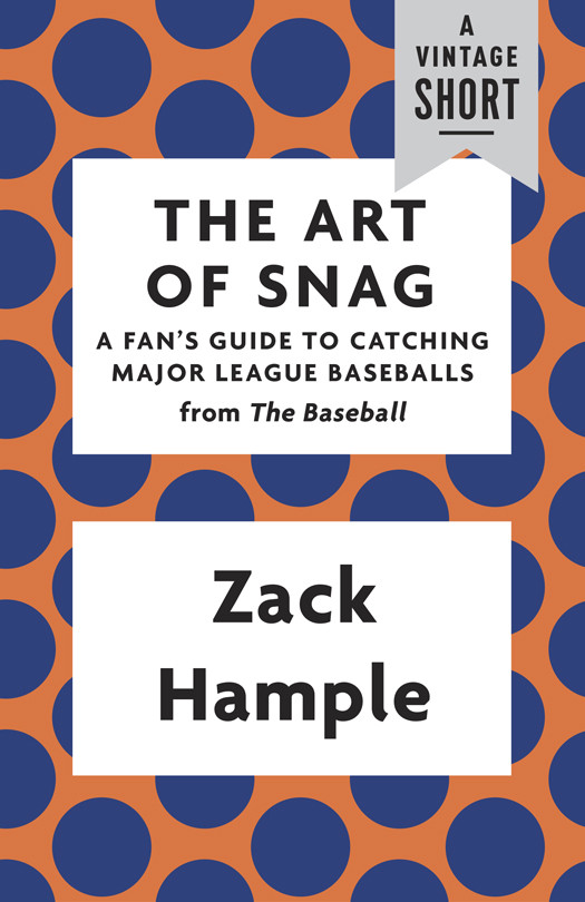 The Art Of Snag Zack Hample