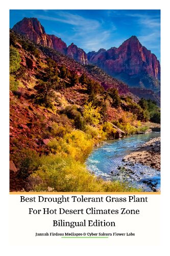 Best Drought Tolerant Grass Plant For Hot Desert Climates Zone Bilingual Edition Jannah Firdaus Mediapro