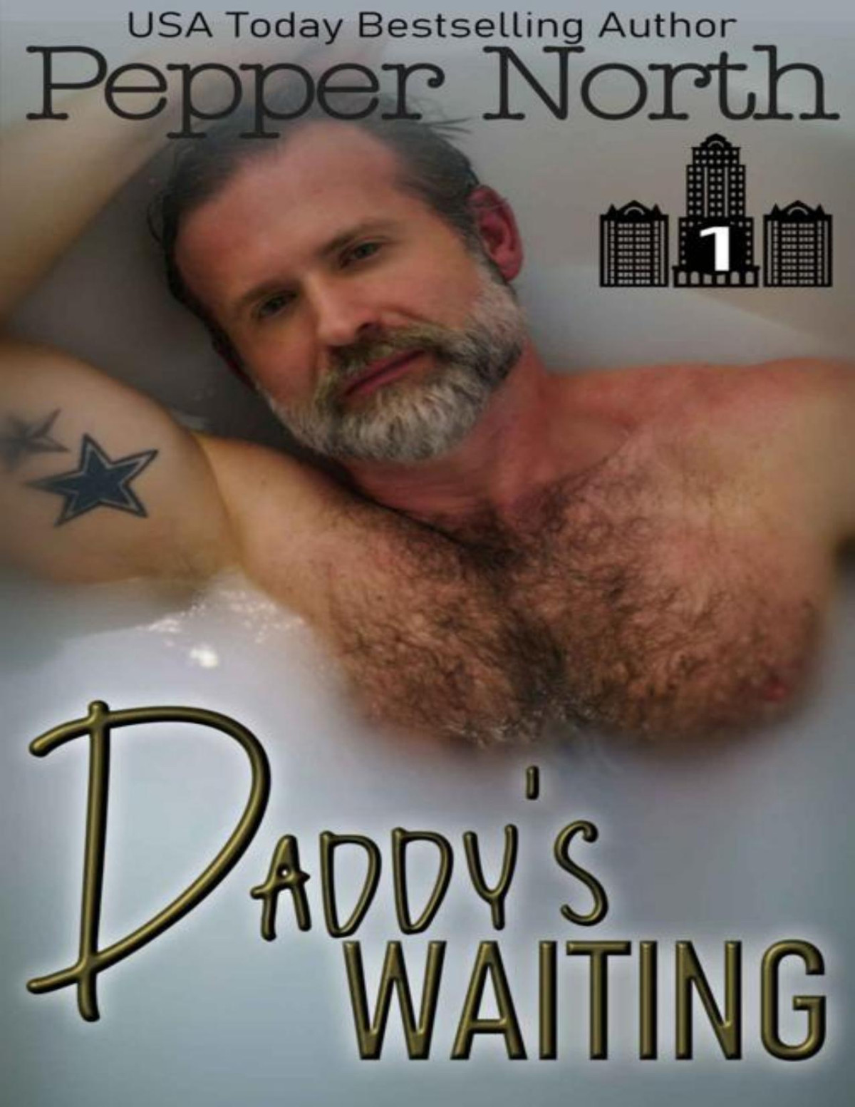 Daddys Waiting Abc Towers Book 1 Pepper North