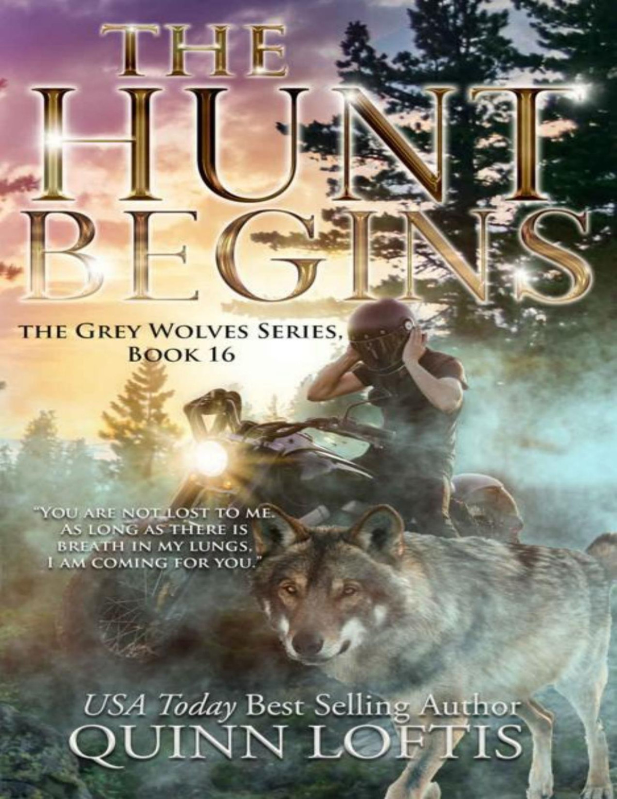 The Hunt Begins Book 16 Of The Grey Wolves Series Quinn Loftis