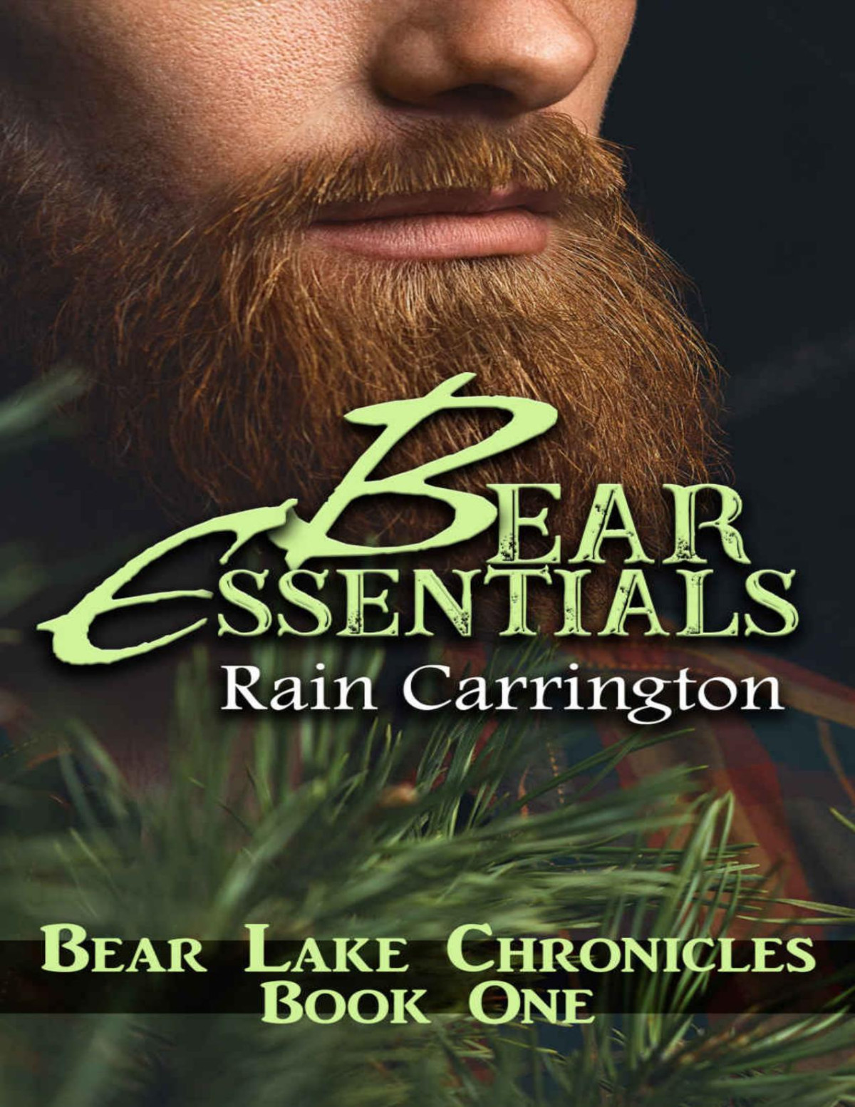 Bear Essentials A Mm Bdsm Romance Bear Lake Chronicles Book 1 Rain Carrington