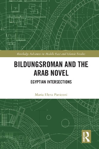 Bildungsroman And The Arab Novel Egyptian Intersections Maria Elena Paniconi