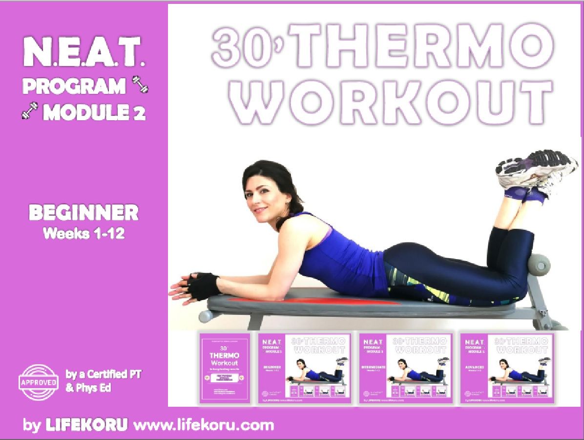 30 Thermo Workout Guide For Beginner Beginner Weeks 112 Neat Program Roberta Prampolini