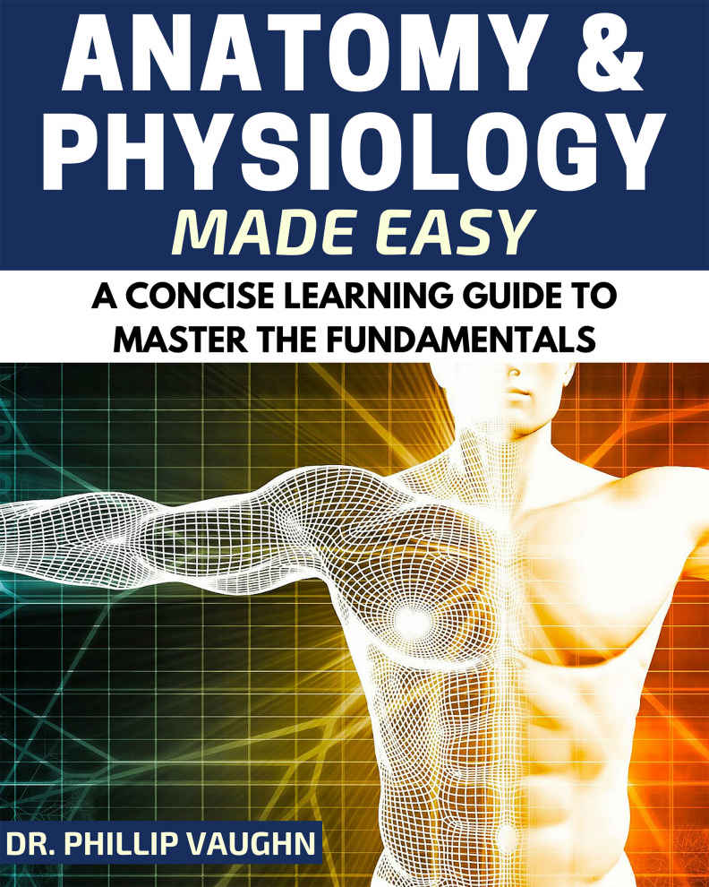 Anatomy And Physiology Anatomy And Physiology Made Easy A Concise Learning Guide To Master The Fundamentals Anatomy And Physiology Human Anatomy Human Physiology Human Anatomy And Physiology Phillip Vaughn