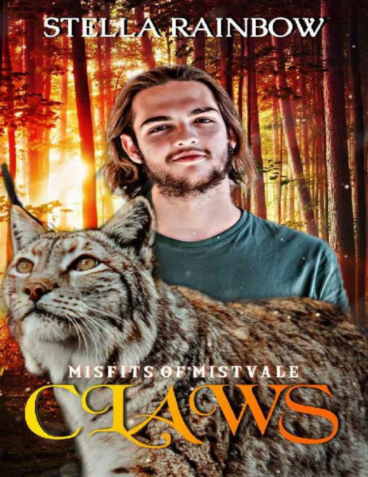 Claws An Mm Fated Mates Shifter Romance Misfits Of Mistvale Book 1 Stella Rainbow