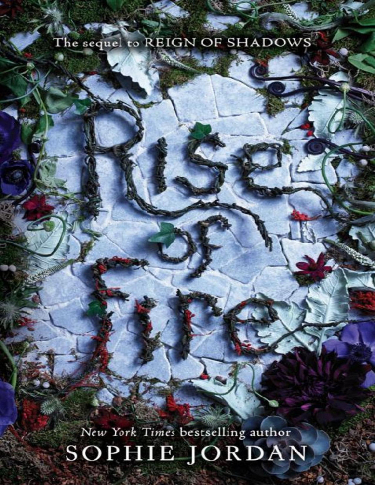 Rise Of Fire Reign Of Shadows 2 Sophie Jordan