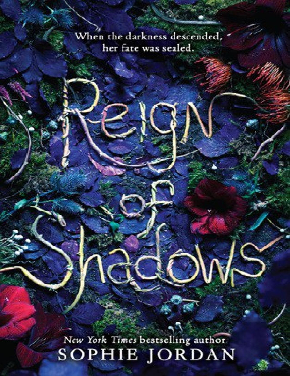 Reign Of Shadows Sophie Jordan