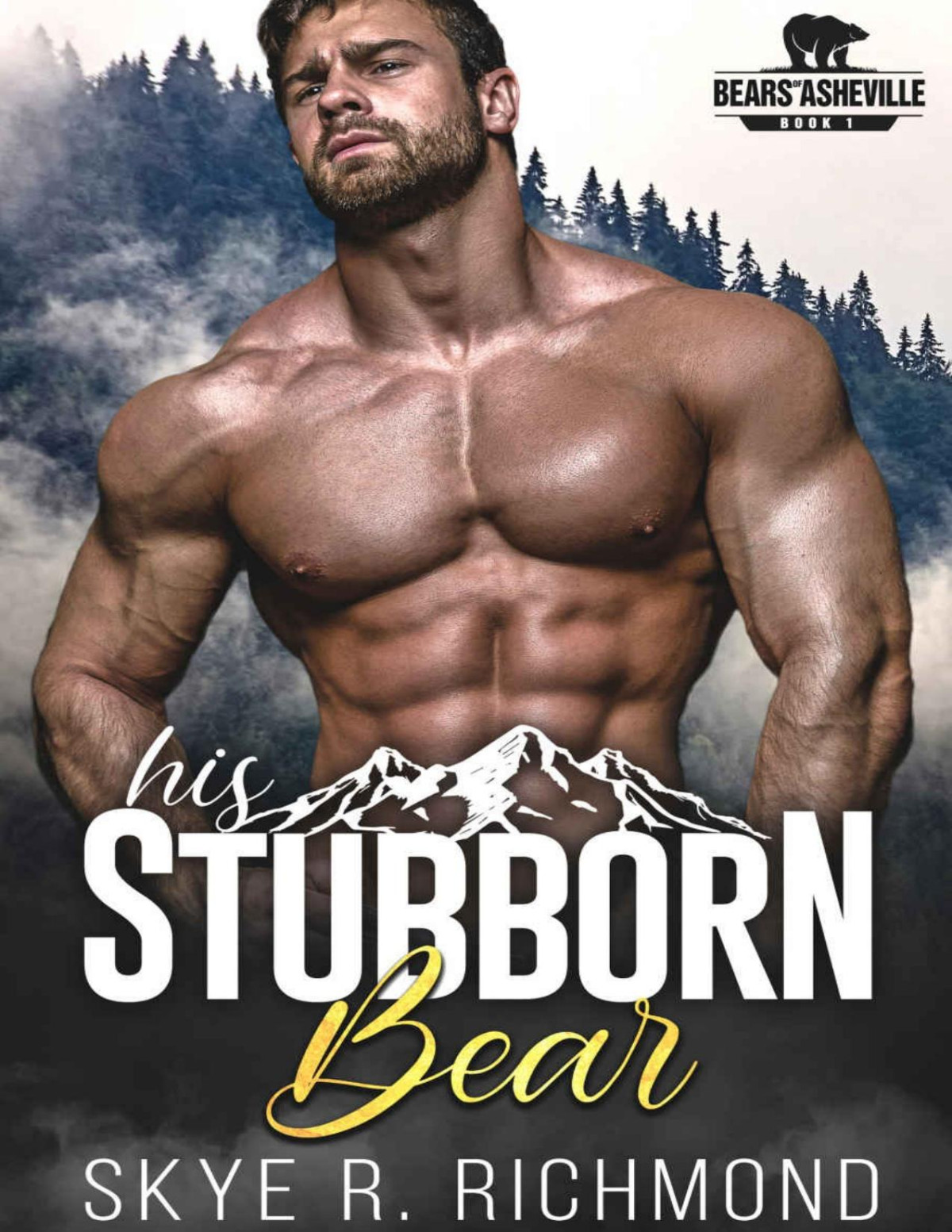 His Stubborn Bear Bears Of Asheville Book 1 Richmond Skye R