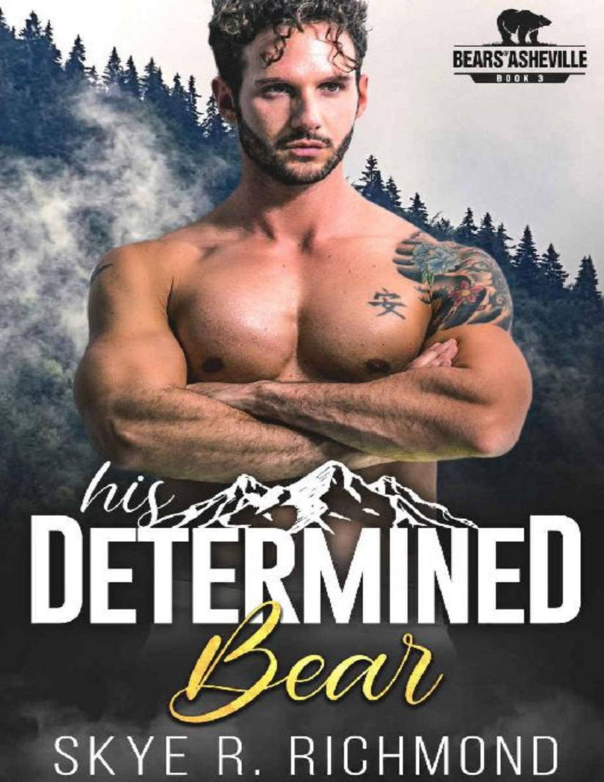His Determined Bear An Mm Mpreg Shifter Romance Bears Of Asheville Book 3 Skye R Richmond