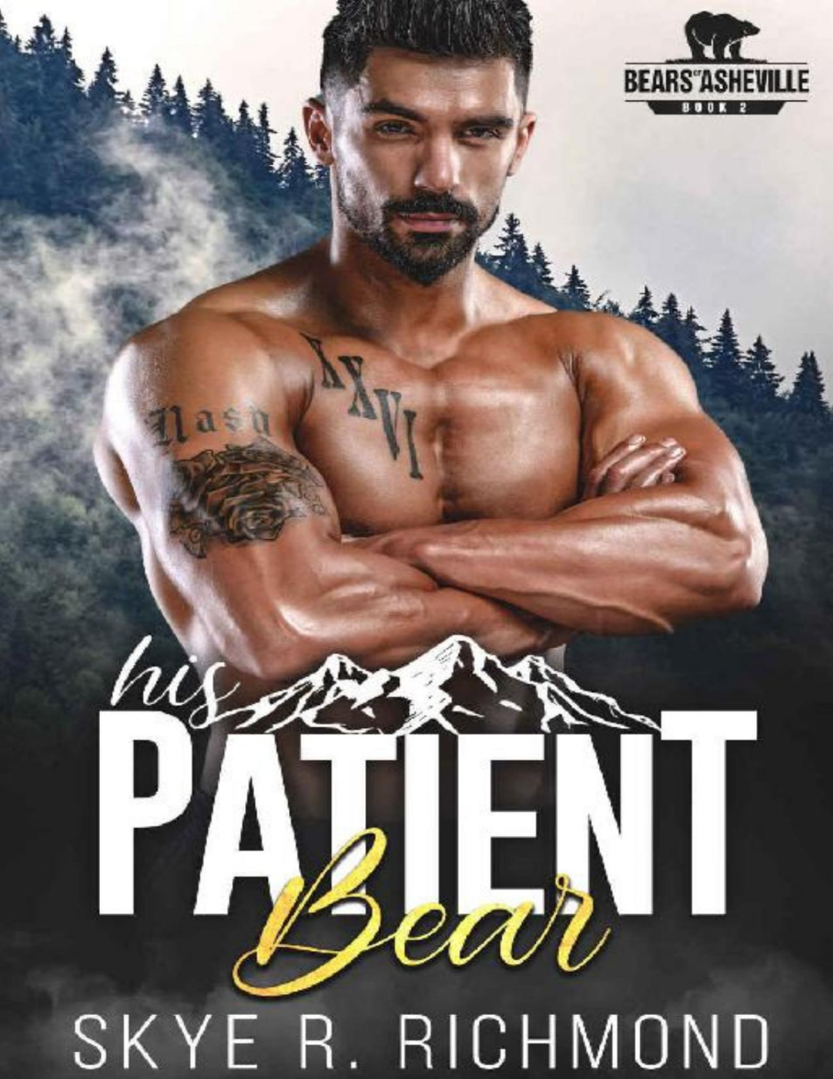 His Patient Bear An Mm Mpreg Shifter Romance Bears Of Asheville Book 2 Skye R Richmond