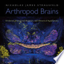 Arthropod Brains Evolution Functional Elegance And Historical Significance Nicholas James Strausfeld