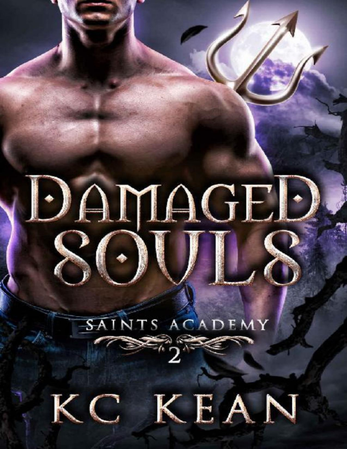 Damaged Souls Saints Academy Book 2 Kc Kean