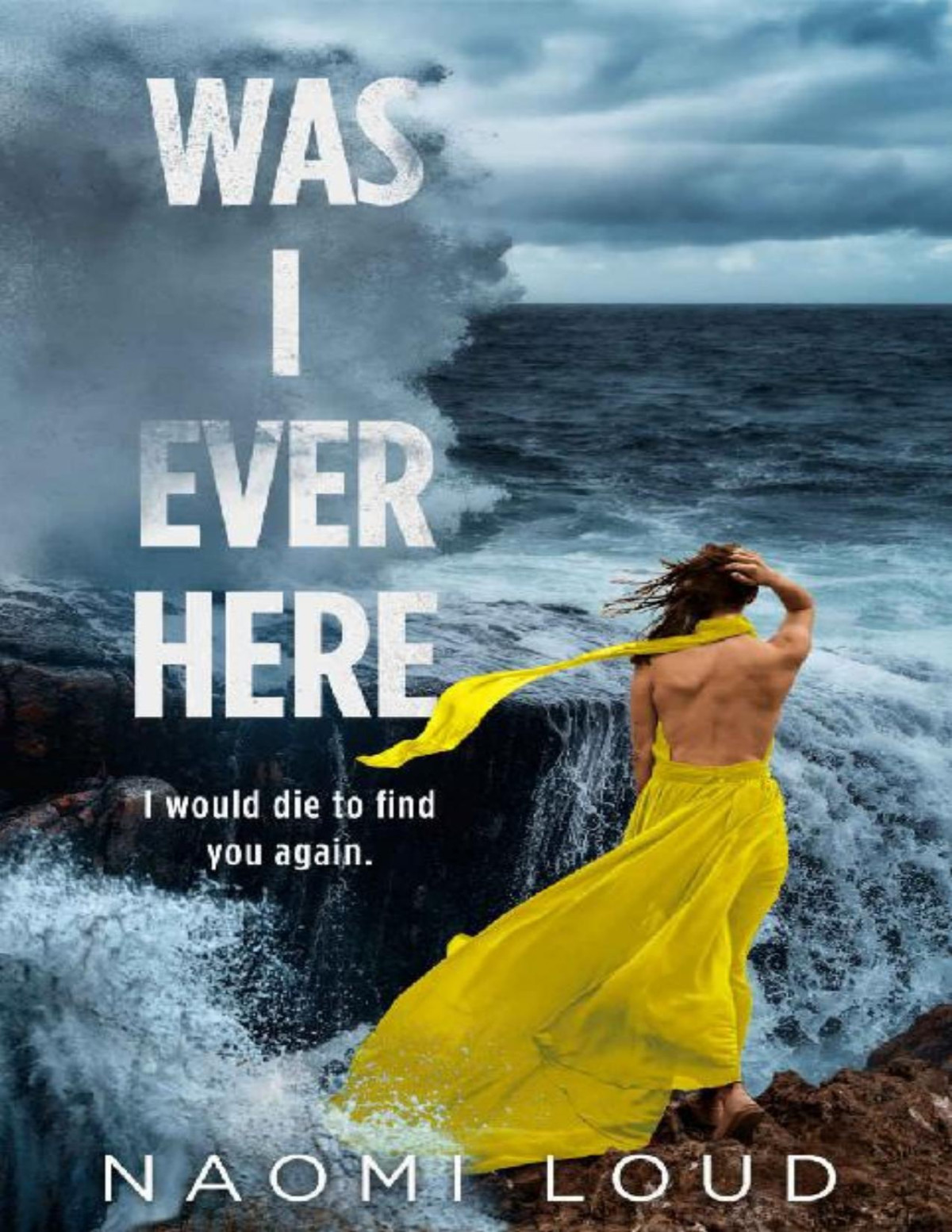 Was I Ever Here A Dark Romance Naomi Loud