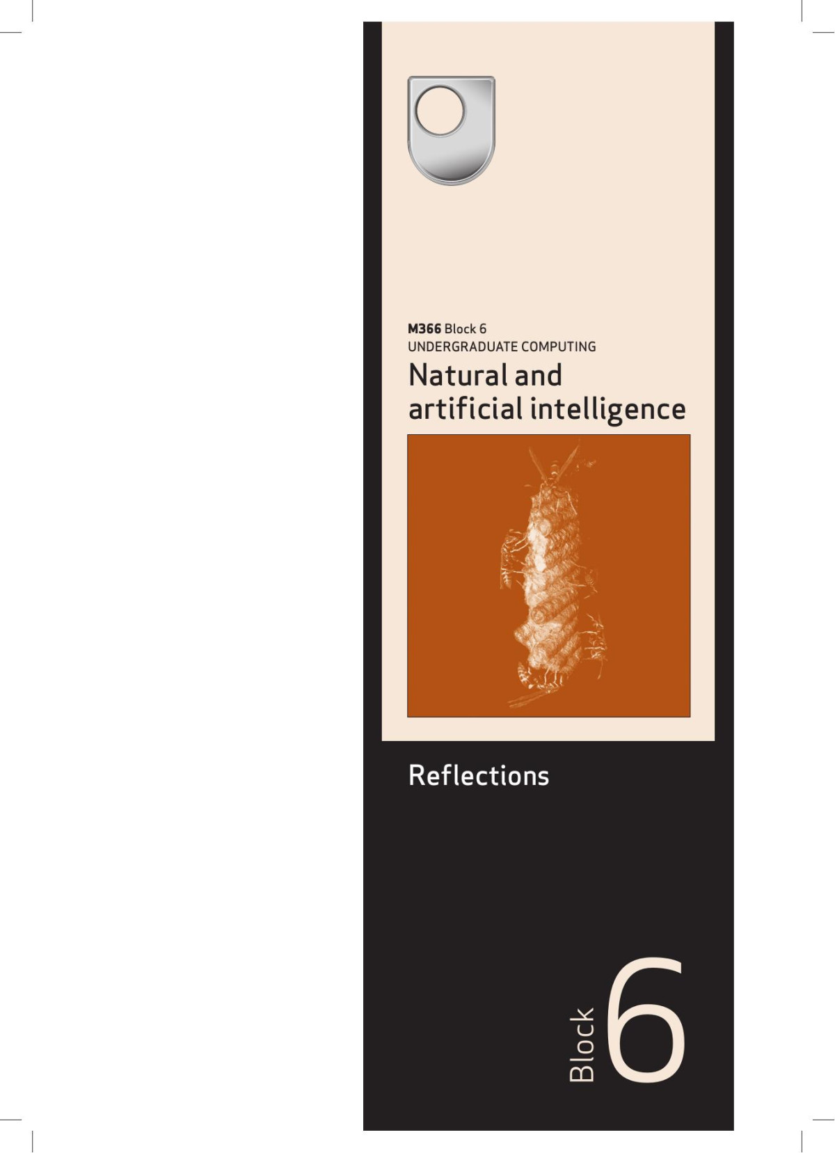 Natural And Artificial Intelligence Reflections Block 6 Syed Mustafa Ali